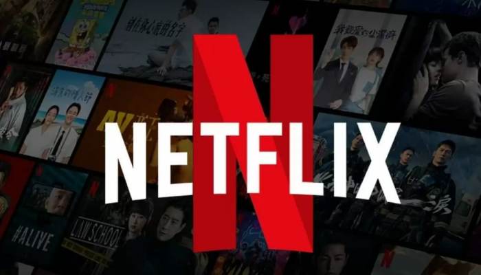 Netflix unveils exciting 2024 India content: Deets inside