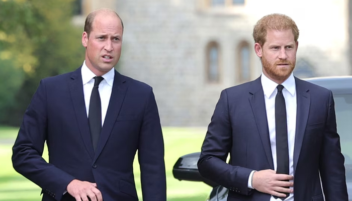 ‘Wounded’ Prince William still sour from Prince Harry’s ‘victim mentality’