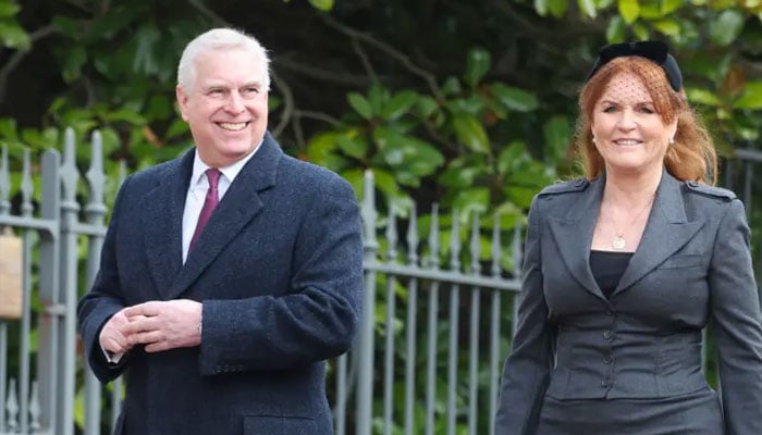 Prince Andrew’s royal comeback marred with ‘new evidence’ in Epstein case