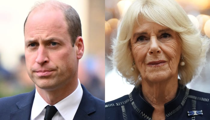 Prince William awaits big challenges as Queen Camilla halts royal duties