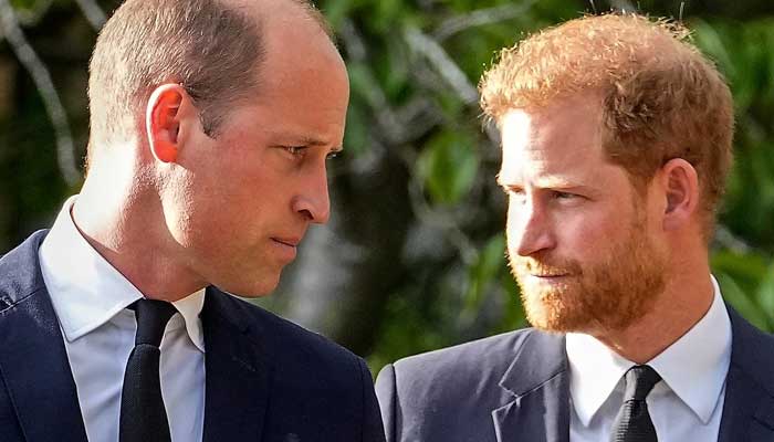 Prince William rejects Harrys call of reconciliation