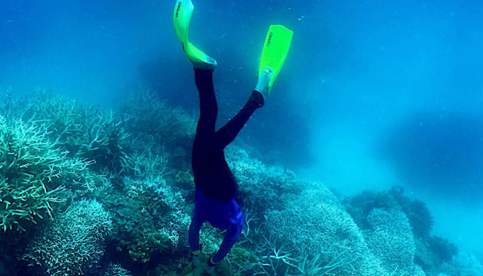 Massive bleaching event turns Australias Great Barrier Reef white due to climate change. — AFP/File