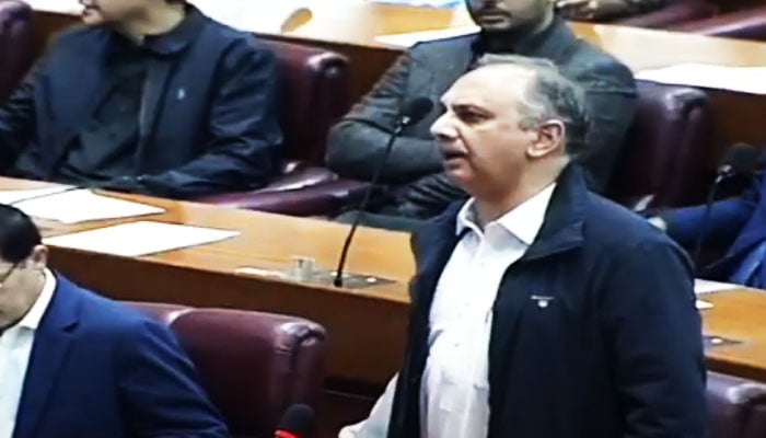 PTI leader Omer Ayub Khan addresses the National Assembly on March 8, 2024, in this still taken from a video. — YouTube/PTV Parliament