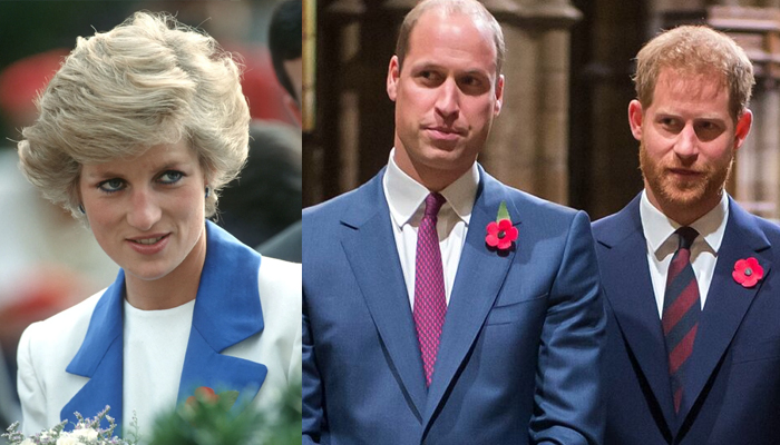 Diana left ‘shocked’ at Prince Harry’s response to William becoming King