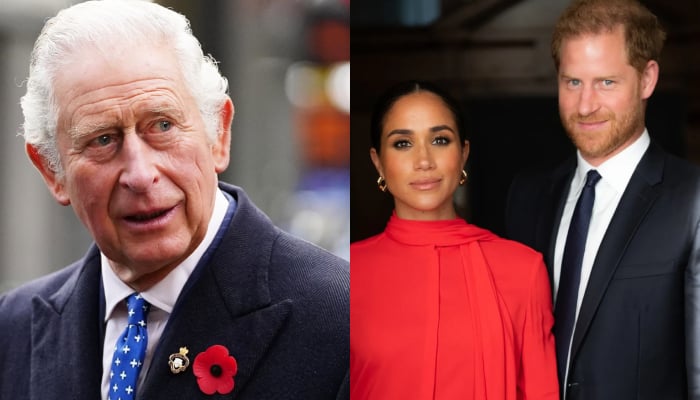 King Charles may approach Harry, Meghan to work as part-time royals