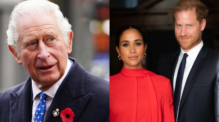 King Charles may approach Harry, Meghan to work as 'parttime' royals