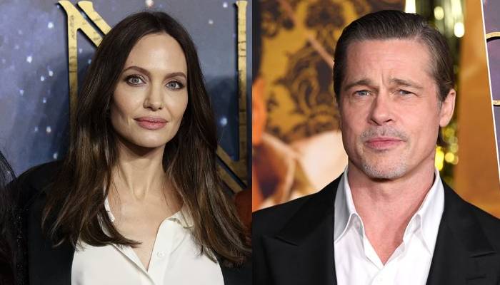 Brad Pitt wins legal battle against ex Angelina Jolie amid French vineyard ownership