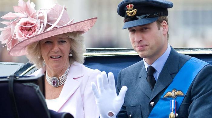 Prince William, Queen Camilla Send Stern Message To Royal Family's Critics