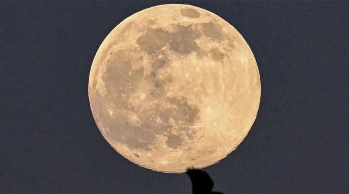 چاند گرہن 2024 کی لائیو اپ ڈیٹس: ‘ورم مون’ کب اور کہاں دیکھنا ہے