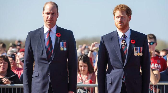 Prince Harry’s plans to repair bond with Prince William laid bare