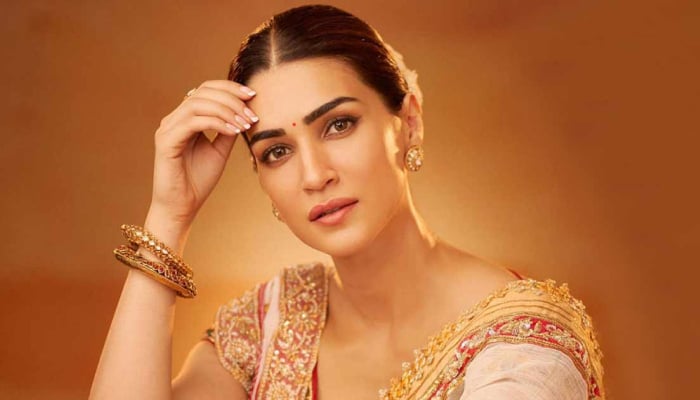 Kriti Sanon says its hurtful to put blame on actress for film failure