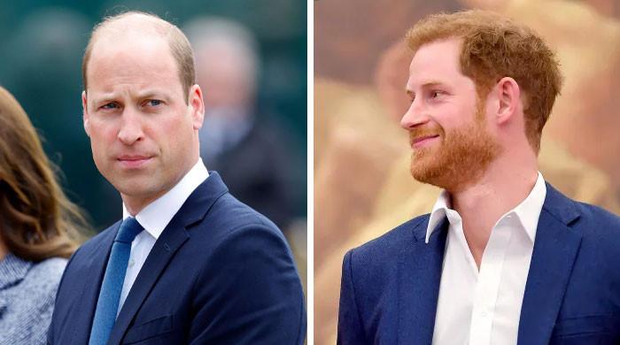 Prince William’s stress levels go up as Prince Harry plans new stunt