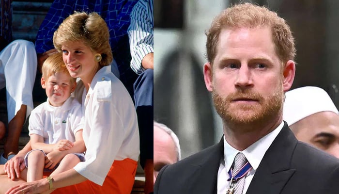 Prince Harry borrows from his loss of Princess Diana to comfort ...