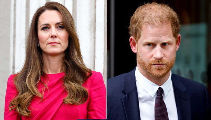 Princess Kate gives befitting response to Prince Harry's assumptions ...