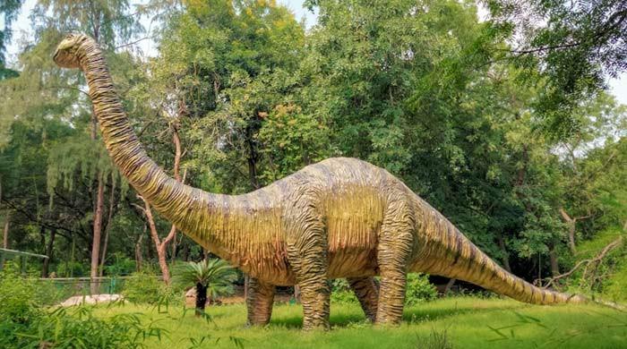 90-million-year old dinosaur, who ate grass, finally found