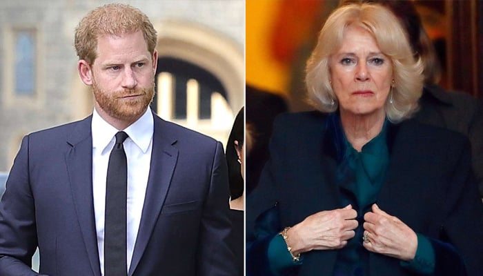 Prince Harry to receive cold shoulder from Queen Camilla on UK visit