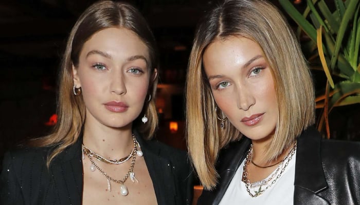 Gigi Hadid breaks silence on Bellas decision to step away from modelling