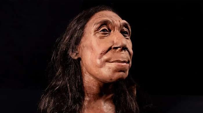 REVEALED: 75,000-year-old Neanderthal woman finally gets a face