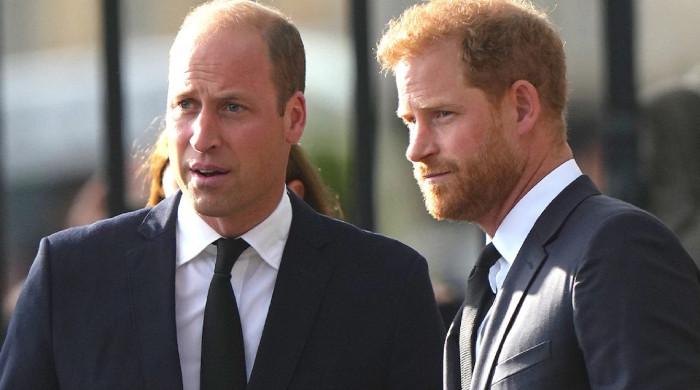 Prince William under pressure to see Prince Harry as Duke lands in UK