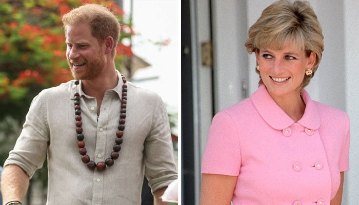 Prince Harry’s heartfelt gesture in Nigeria honours late mother Diana