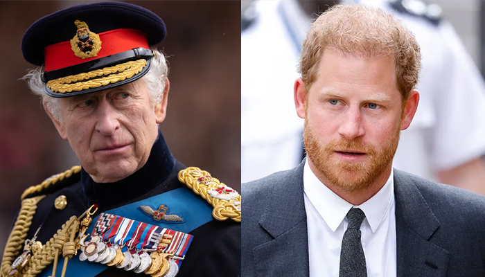 King Charles’ pal hits back Prince Harry meeting snub claims