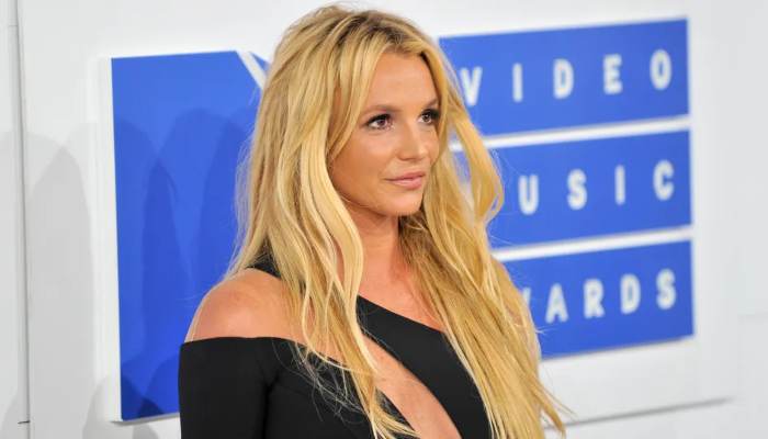 Britney Spearss family feels she needs help after hotel fight incident