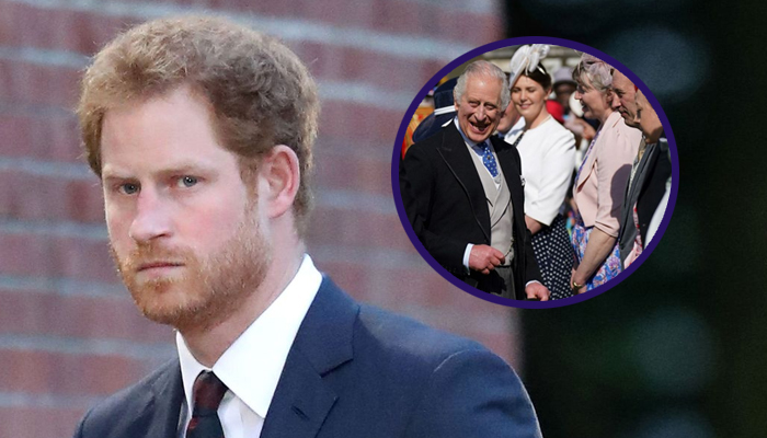 Prince Harry deeply stung by King Charles busy excuse for meeting snub