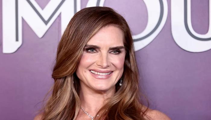 Brooke Shields opens up about her parenting journey in a new interview