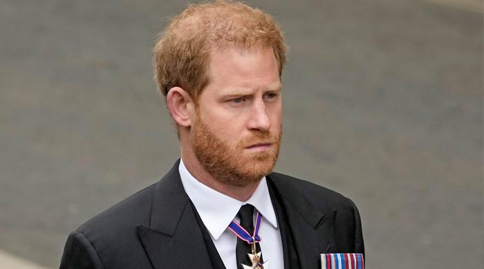  Prince Harry future in US hinges on royal title?