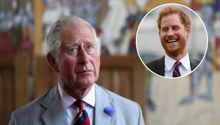 King Charles is said to give his son Prince Harry a sincere offer for a meetup