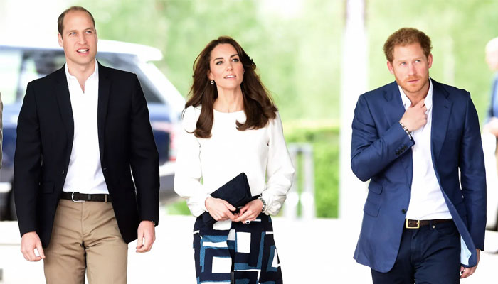 Kate Middleton avoiding ‘petty rows’ amid Prince William’s rift with Harry