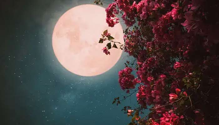 Flower Moon rise time, places, where it will be visible, revealed. — Unsplash/File