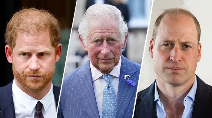 King Charles fails to fill Prince Harry void with growing William bond