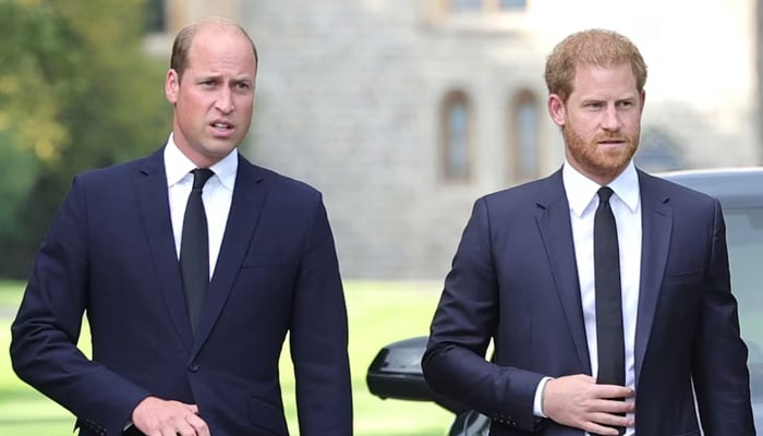 Prince William proves Prince Harry claims in Spare wrong
