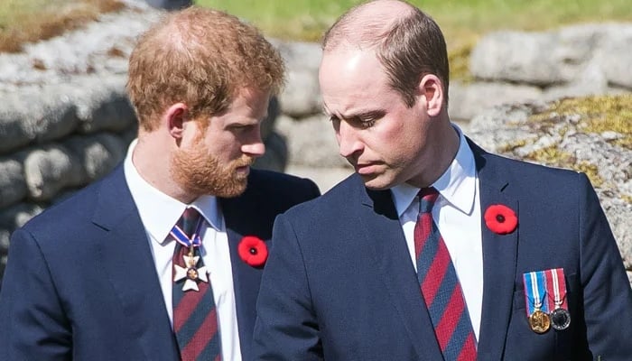 The Duke of Sussex has had a rocky bond with his royal relatives, especially his brother Prince William