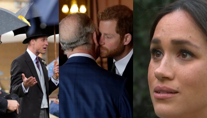 King Charles and Prince William have actively talked about Meghan Markles and Prince Harrys roles within the royal family