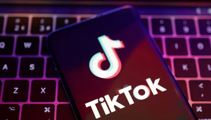 TikToks AI assistant: Your new best friend in advertising. — Reuters