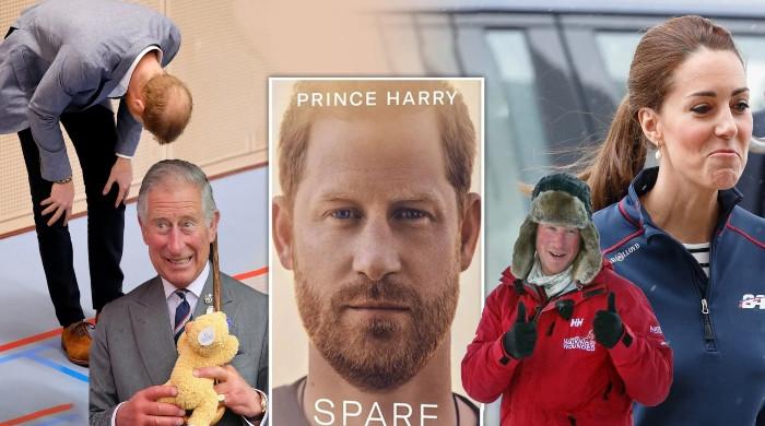 King Charles strongly denies Prince Harry's claims in 'spare' with his spot on move