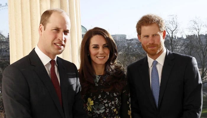 Prince Harry also mentioned about Prince Williams hair loss in his bestselling memoir Spare