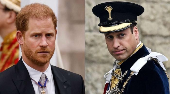 Prince Harry turns down new opportunity to reconcile with Prince William