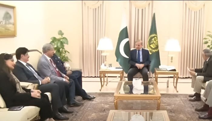 PM Shehbaz Sharif (centre) meets senior PPP delegation including Sherry Rehman, CM Sindh Murad Ali Shah, Naveed Qamar and others in this undated image. — Screengrab via YouTube/Geo News/File