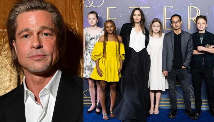 Brad Pitt, Angelina Jolies kids fed up with their parents relentless feud
