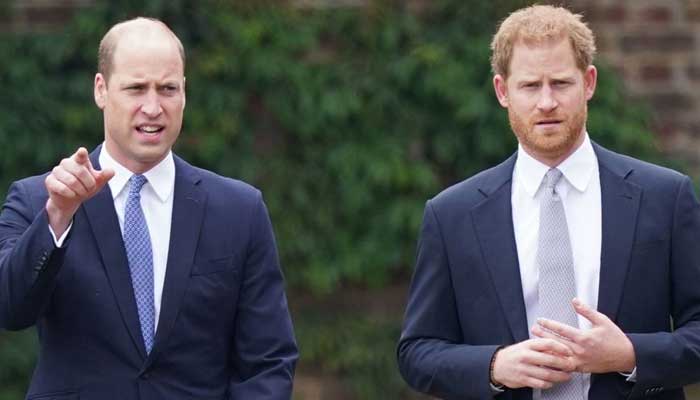 Prince William allegedly does not want Harry to return to the royal family again