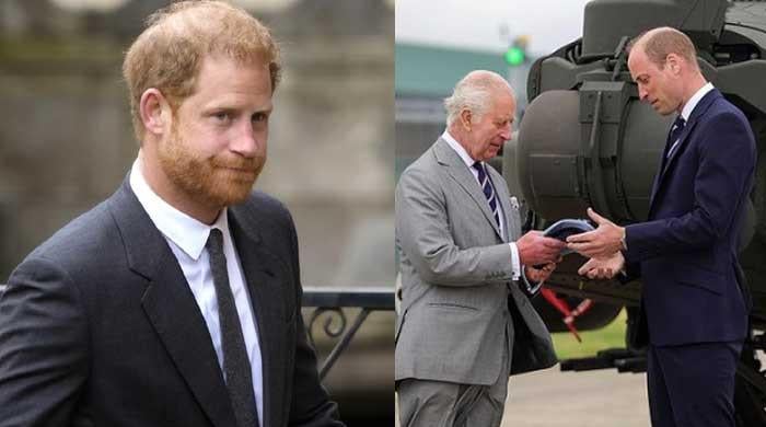 Royal family hurts Prince Harry by refusing to acknowledge his efforts