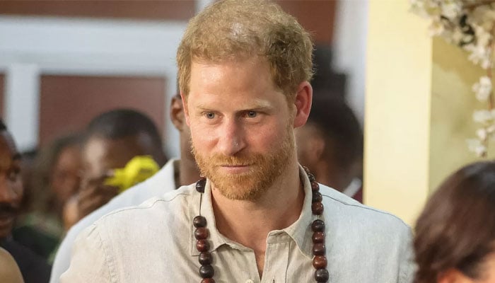 Prince Harry unable to enjoy success of Nigeria tour over his sorrows