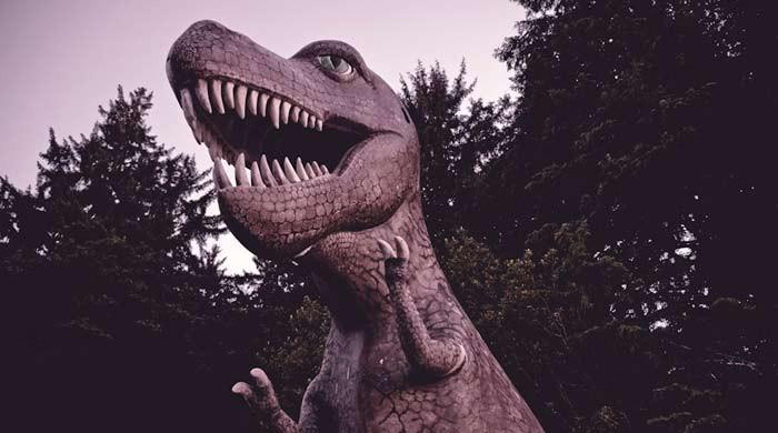 Les restes d’un dinosaure de la taille d’un cheval, vieux de 210 millions d’années, ont été découverts