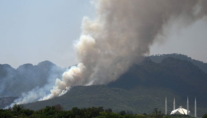 Smoke rises from a fire that erupted few days back in Margalla Hills forest near Faisal Mosque amid rising temperatures during a hot summer day in Islamabad on May 31, 2024. — AFP