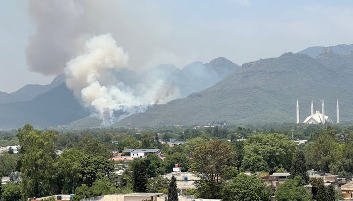 Smoke rises after a fire broke at the Margalla Hills National Park, with Faisal mosque and houses seen in the foreground, amid hot weather in Islamabad, May 31, 2024. — Reuters