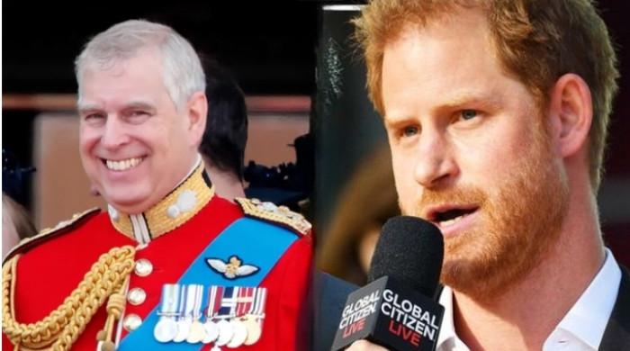 Prince Harry questions Prince Andrew’s security