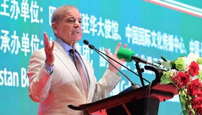 PM Shehbaz Sharif addresses the Pakistan-China Friendship and Business Reception in this undated photo. — APP